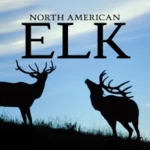 north american elk android application logo